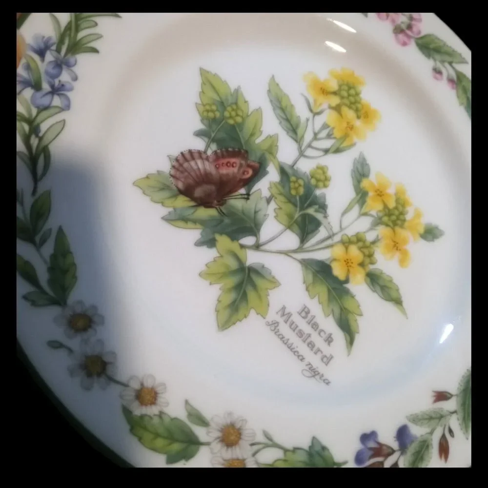 Royal Worcester Herbs Bread and Butter Plates Black Mustard Set Of Two 6.75